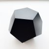 SHUNGITE DODECAHEDRON PLATONIC SOLIDS & Book, Silver Activated Shungite for Powerful Earth Bio-Field Expansion