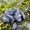Shungite Water Purification Stones. Get Great Tasting Revitalizing Water- Instantly. - Image 3