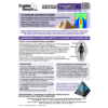 PYRAMIDS (Digital Download) Inspiring Information, Transformations & More!